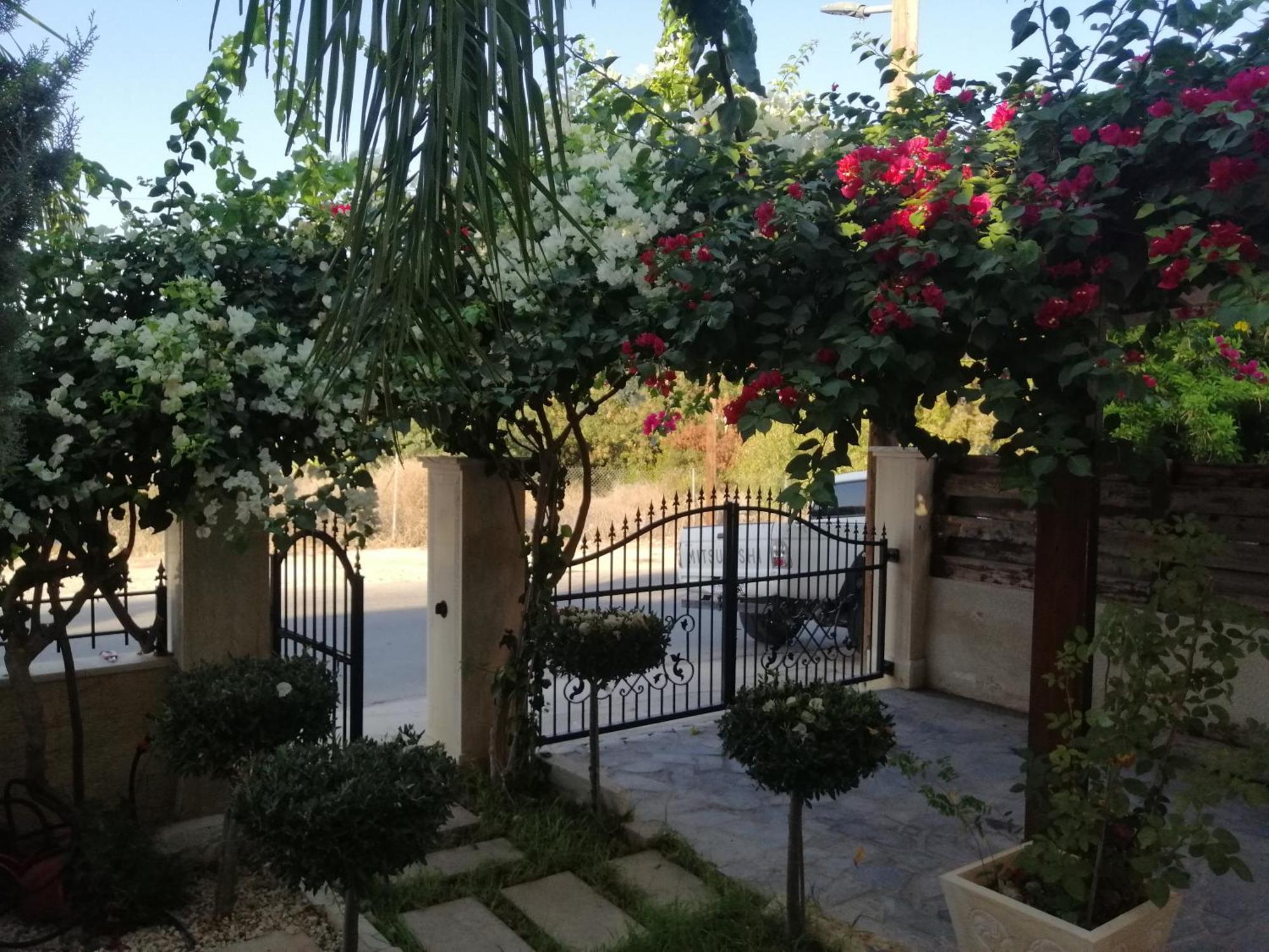 Paphos Villa Myria חדר תמונה